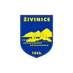 Grad Živinice